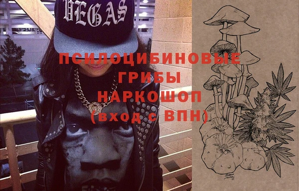 ПСИЛОЦИБИНОВЫЕ ГРИБЫ Алексеевка