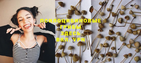 ПСИЛОЦИБИНОВЫЕ ГРИБЫ Алексеевка