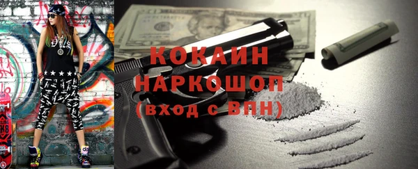 мдпв Заречный